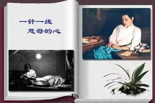 农村嫂子睡不着,既然不停的要...太开放了
