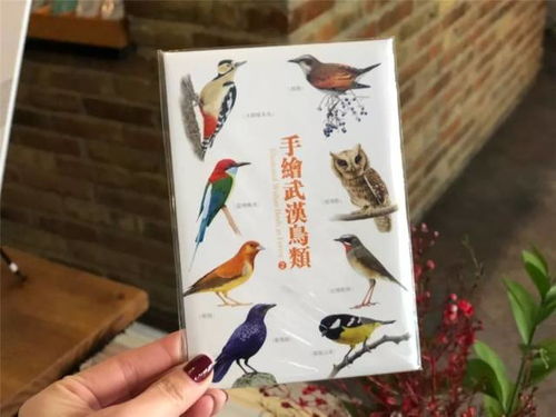 探访本城最文艺的4家书店,最好卖的居然是这些文创产品 文化频道