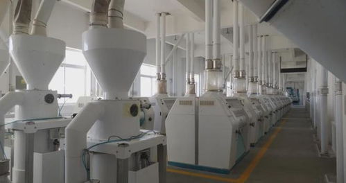 乡村振兴进行时 多措并举促就业,精准服务暖民心,文艺创作焕活力